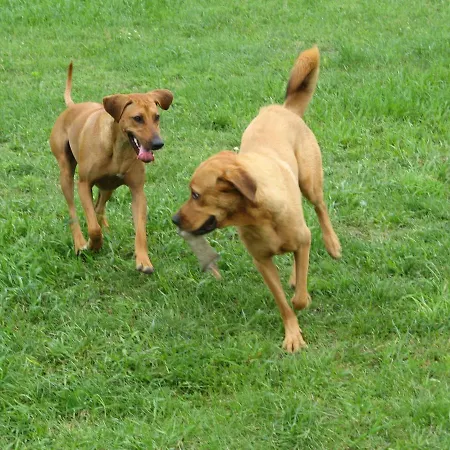 Ostseeferienhaus Oberes * Mönkebude