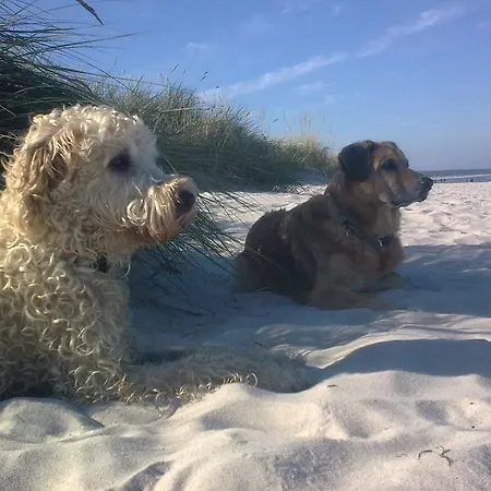 Ostseeferienhaus Oberes Appartement *